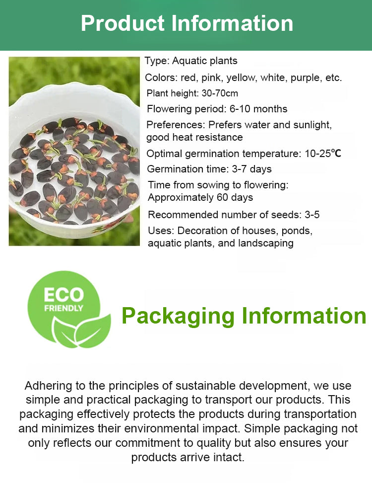 【Blooms Even at -20℃】🪷 Winter Ornamental Hydroponic Lotus Seeds – Up to 99% Survival Rate!