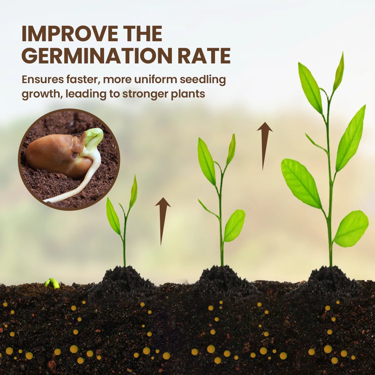 👩🏻‍🌾🌱Soil Pro Activator – Rejuvenate Your Plants🔥