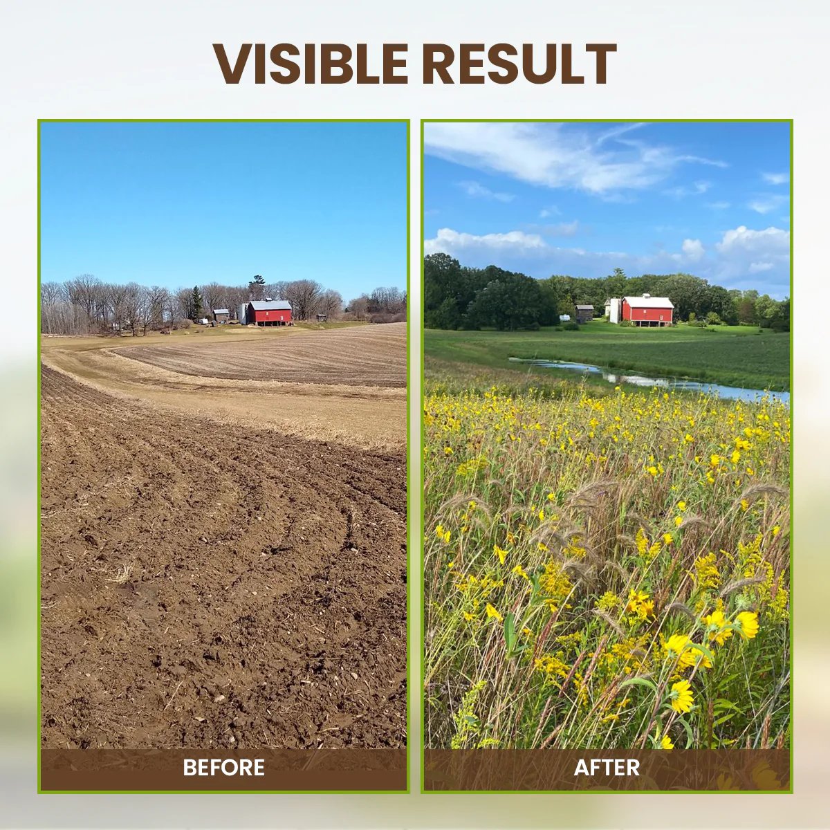 👩🏻‍🌾🌱Soil Pro Activator – Rejuvenate Your Plants🔥