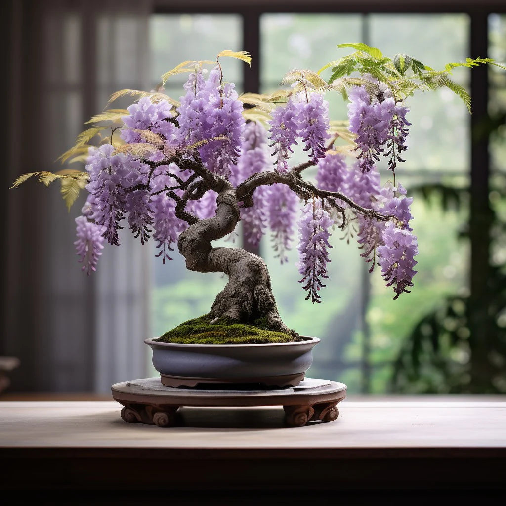 🔥LAST DAY 75% Off🌺Wisteria Flower Seeds – The Queen of Flowers