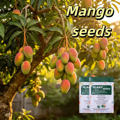 🔥 65K+ SOLD! 🥭 Sweet "Golden Honey" Dwarf Mango Tree Seeds (Home Growing)