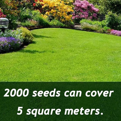 🌱 2026 Four Seasons Evergreen Grass Seed | Vibrant Green All Year, Durable