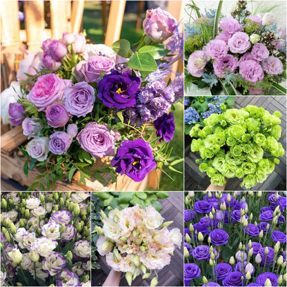 💐Lisianthus – Everlasting Love, Timeless Beauty💫