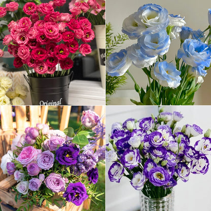 💐Lisianthus – Everlasting Love, Timeless Beauty💫