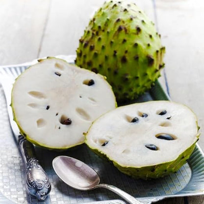 🏆Flash Sale⚡Almost Gone-💥🌸 Organic Soursop (Graviola) – Non-GMO Heirloom Tropical Fruit Variety