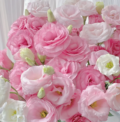 💐Lisianthus – Everlasting Love, Timeless Beauty💫
