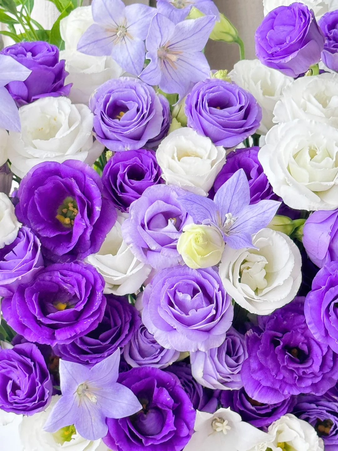 💐Lisianthus – Everlasting Love, Timeless Beauty💫