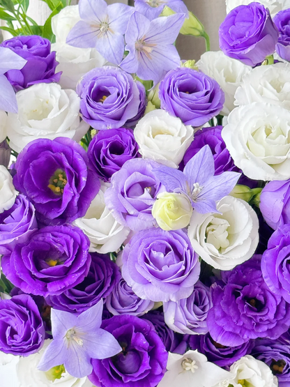 💐Lisianthus – Everlasting Love, Timeless Beauty💫