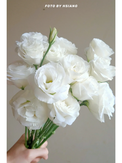 💐Lisianthus – Everlasting Love, Timeless Beauty💫