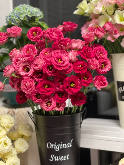💐Lisianthus – Everlasting Love, Timeless Beauty💫