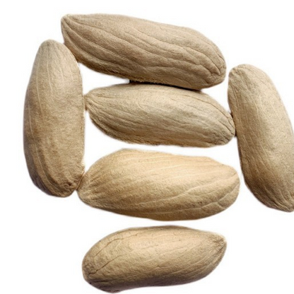 🔥 65K+ SOLD! 🥭 Sweet "Golden Honey" Dwarf Mango Tree Seeds (Home Growing)