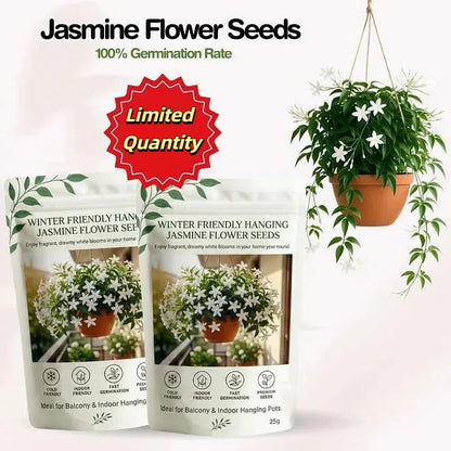 🌸Double Jasmine – LAST DAY 49% OFF Promotion🌸