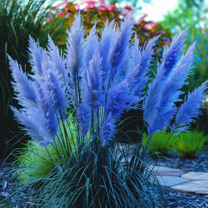 🔥Garden Essentials🌾Ornamental Pampas Grass Perennial Seeds🌱