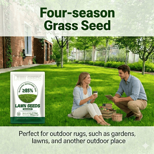 🌱 2026 Four Seasons Evergreen Grass Seed | Vibrant Green All Year, Durable