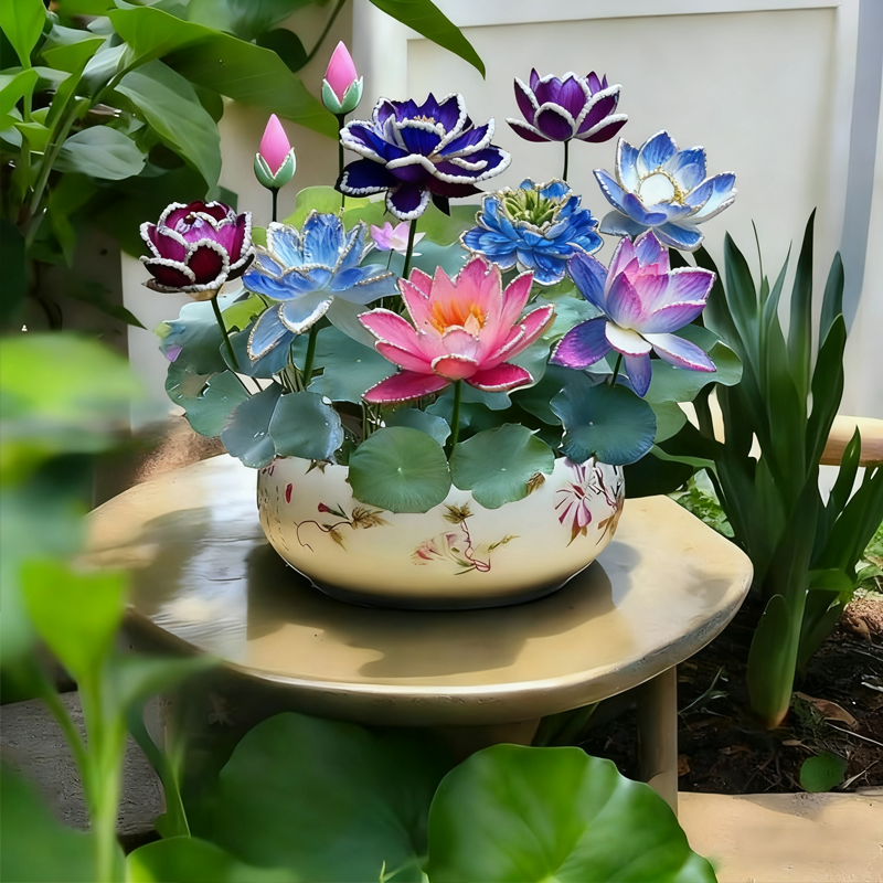 💮Lotus Seeds – Midnight Purple Variety