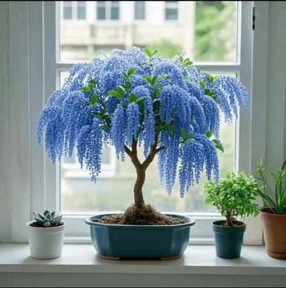 🏠🌳Tassel Seeds for Color & Fragrance in Your Space🍃