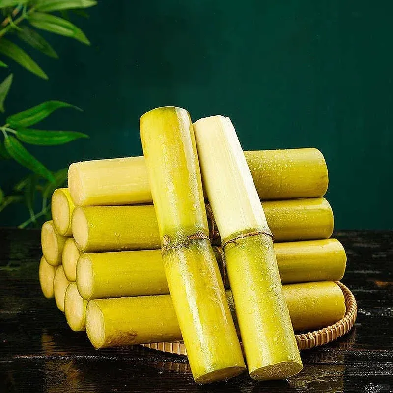 🌱 High-Yield Sugarcane Seeds – Easy to Grow & Survive, Ideal for Home Fruit Planting