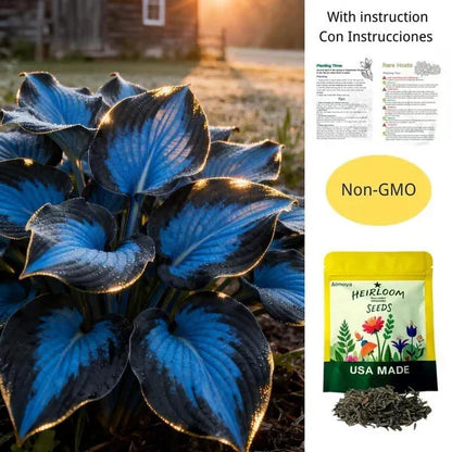 🌟Spring & Winter Growing🍃Premium Rare Hosta Seeds🌿Ideal for Cut Flowers【98% Germination Rate】