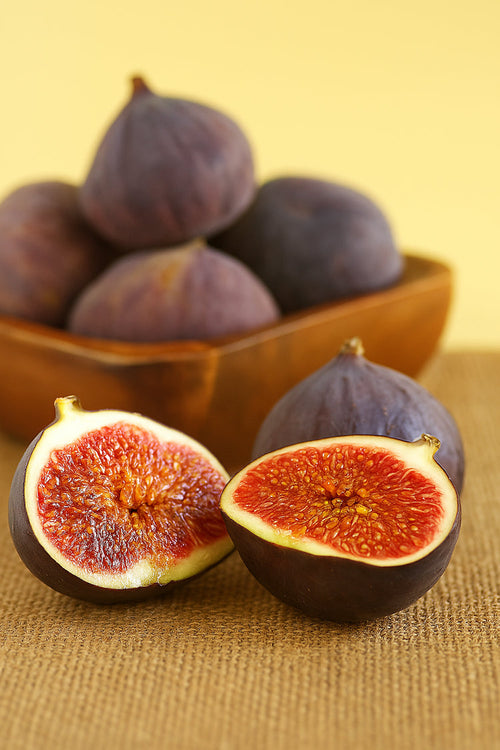 🍇 Figs – A Sweet Home Garden Delight! 🍇