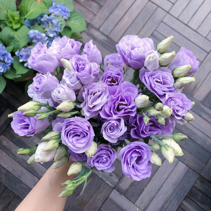 🌼Lisianthus Seeds – Perennial & Long-Flowering