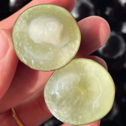 🌳🍇 Jaboticaba Heirloom Tree Seeds – Grapes That Grow on Trees!