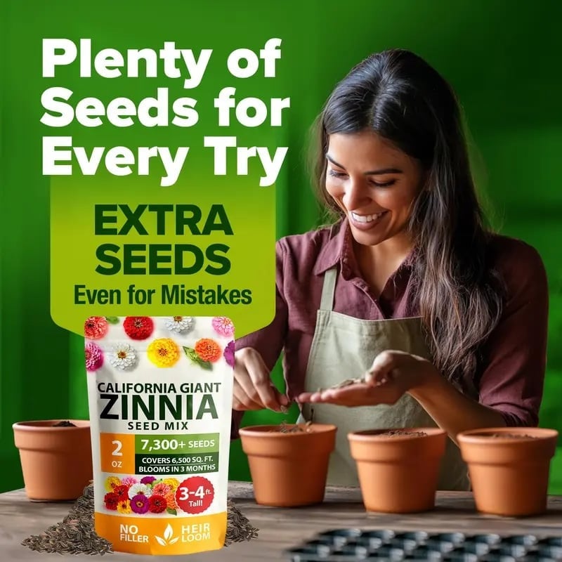 🔥Last Day 70% OFF🔥Zinnia Seeds – Pure, No Filler – Heirloom Flower Seeds