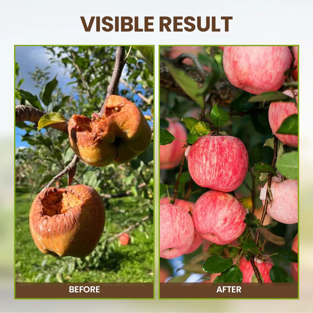 👩🏻‍🌾🌱Soil Pro Activator – Rejuvenate Your Plants🔥