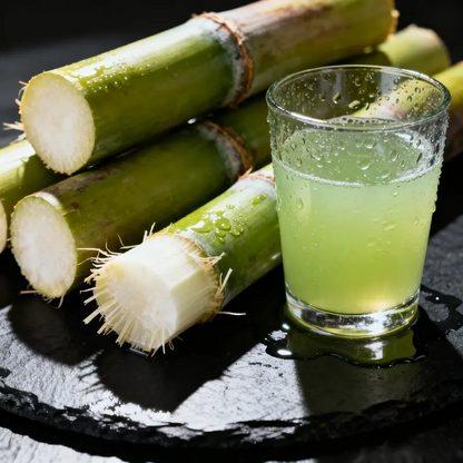 🌱 High-Yield Sugarcane Seeds – Easy to Grow & Survive, Ideal for Home Fruit Planting