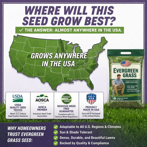 🌱 2026 Next-Gen Lawn Seed for Greener, Stronger Grass