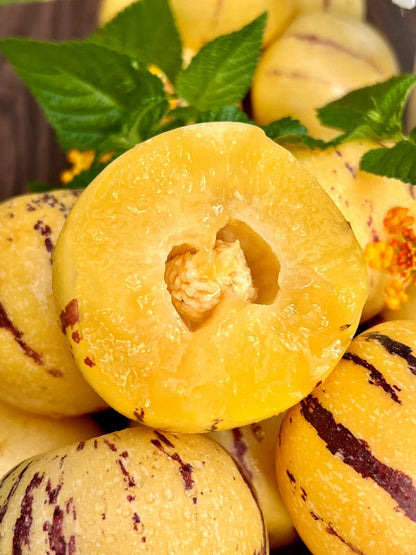 🔥New Arrival – Ginseng Berry Seeds