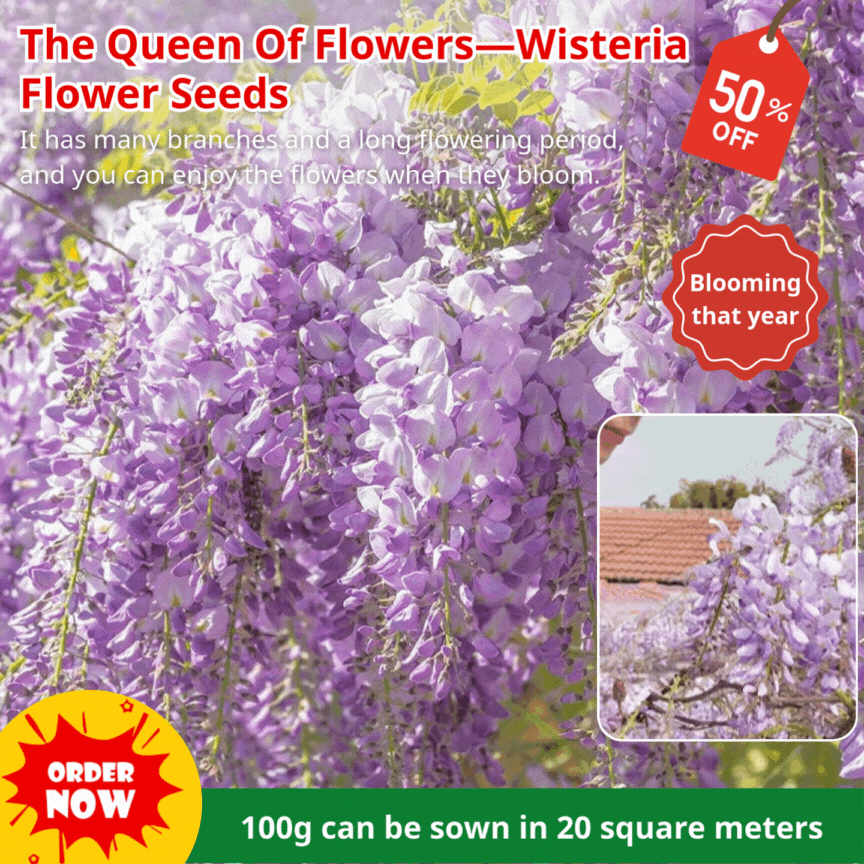 🔥LAST DAY 75% Off🌺Wisteria Flower Seeds – The Queen of Flowers