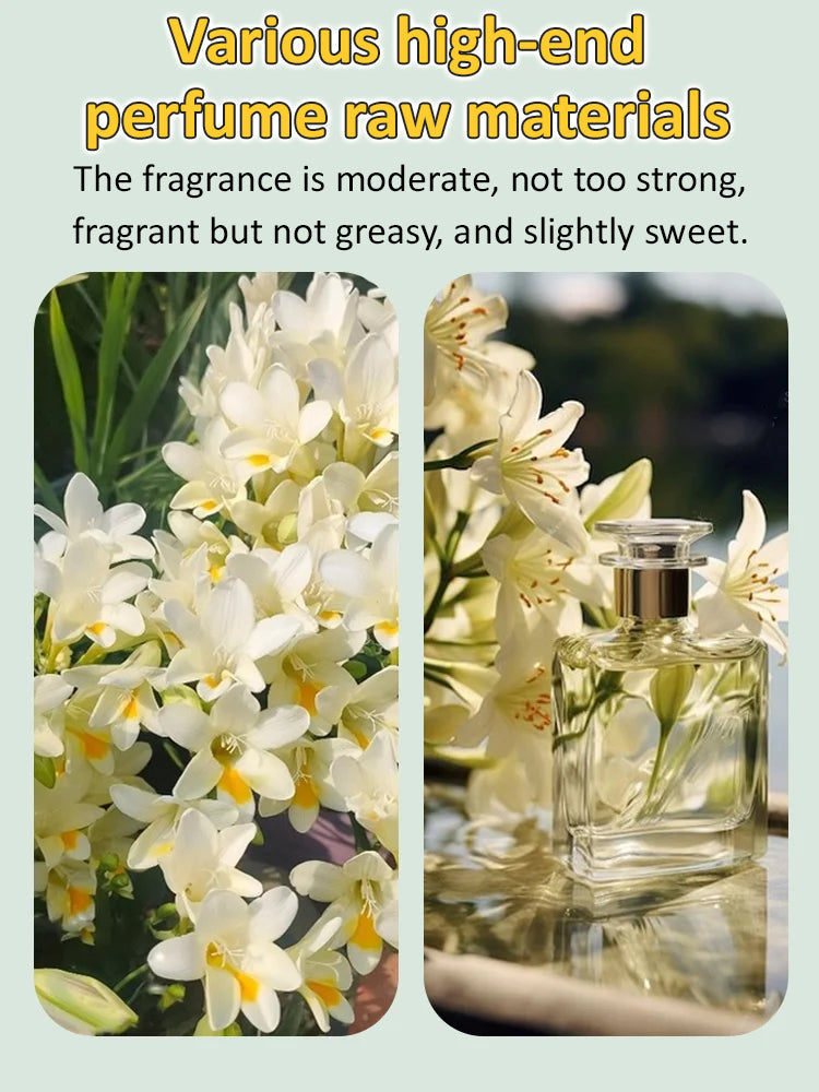 【Four-Season Blooming】Perfume Snow Orchid Seeds