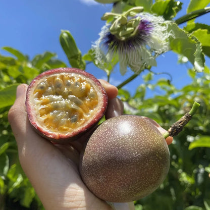 Seeds for Passion Fruit