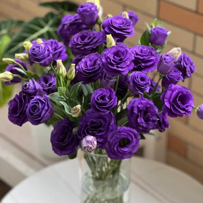 🌼Lisianthus Seeds – Perennial & Long-Flowering