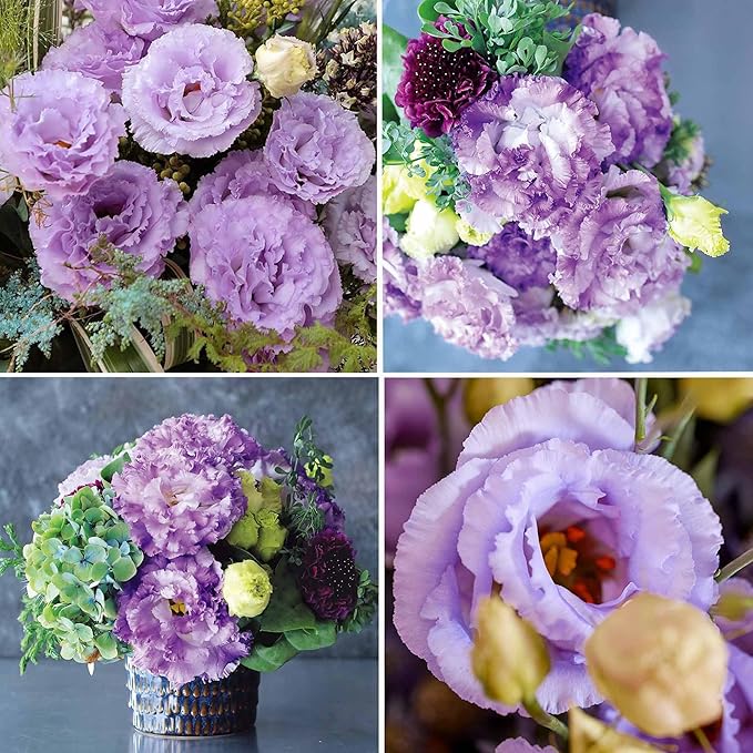 🌼Lisianthus Seeds – Perennial & Long-Flowering