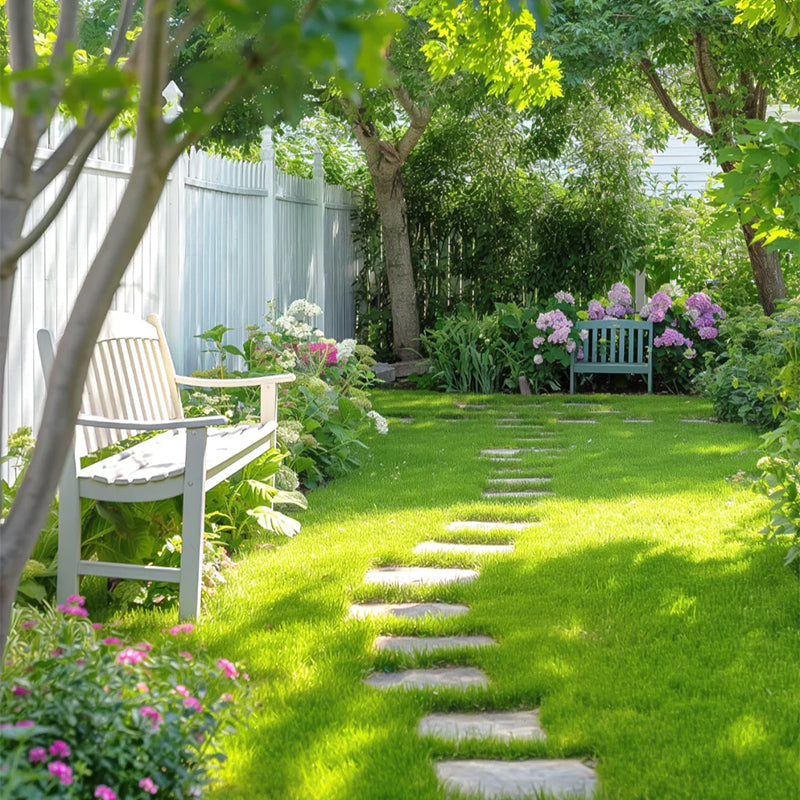 🌱 Evergreen Dwarf Grass for Four Seasons | Create Your Perfect Lawn