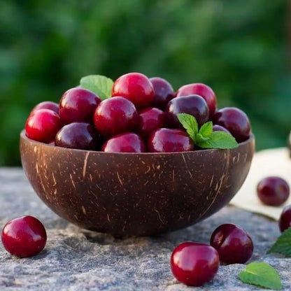 🍒 Premium Sweet Cherry Seeds (New Harvest) – 99% Germination Rate | Pre-Primed for Fast Sprouting