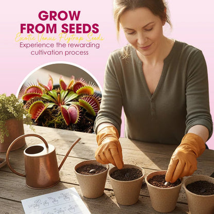 🌱[Amazing Venus Flytrap Seeds]—Grow Your Own Mini Carnivorous Plant!😱🌿
