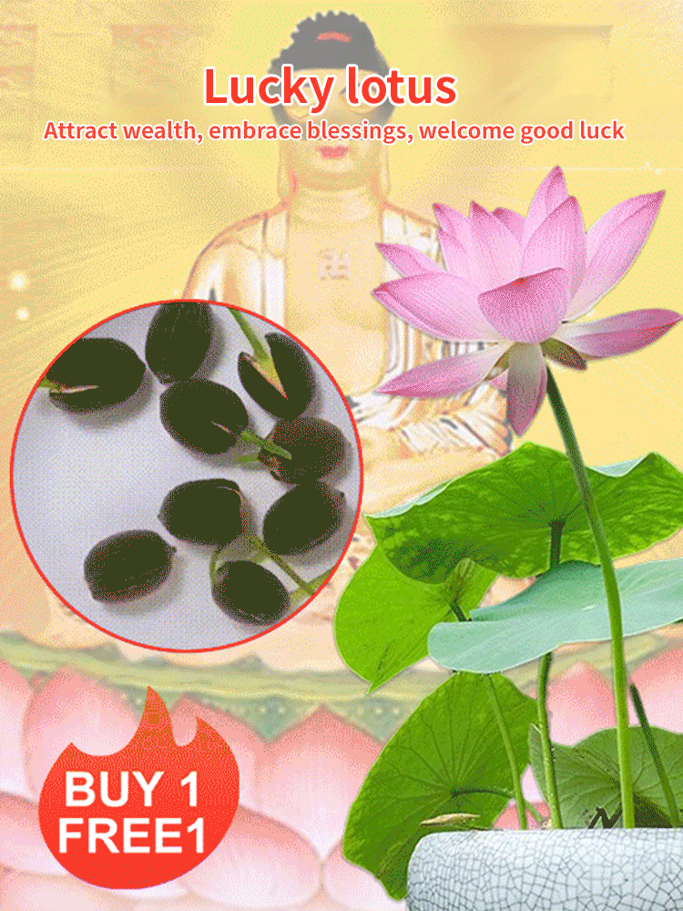 【Blooms Even at -20℃】🪷 Winter Ornamental Hydroponic Lotus Seeds – Up to 99% Survival Rate!