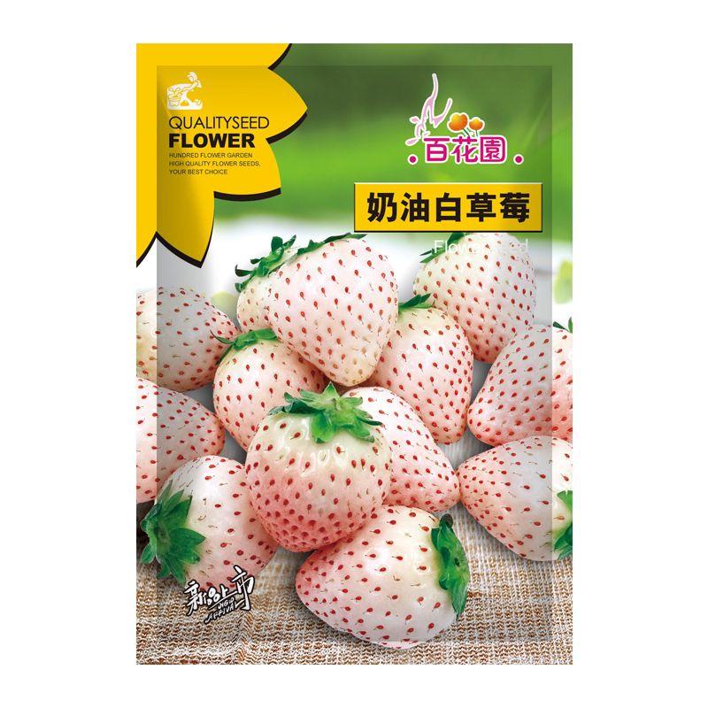 Rare Milk Strawberry Seeds – 1 Bag