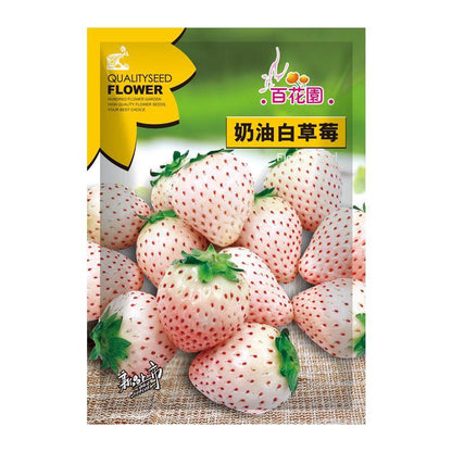 Rare Milk Strawberry Seeds – 1 Bag