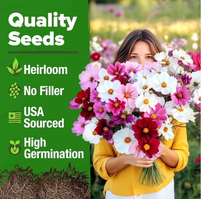 🔥Last Day 70% OFF🔥Zinnia Seeds – Pure, No Filler – Heirloom Flower Seeds