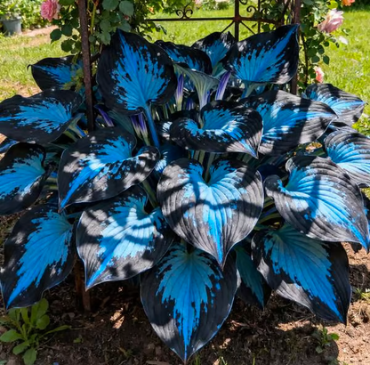 🌟Spring & Winter Growing🍃Premium Rare Hosta Seeds🌿Ideal for Cut Flowers【98% Germination Rate】