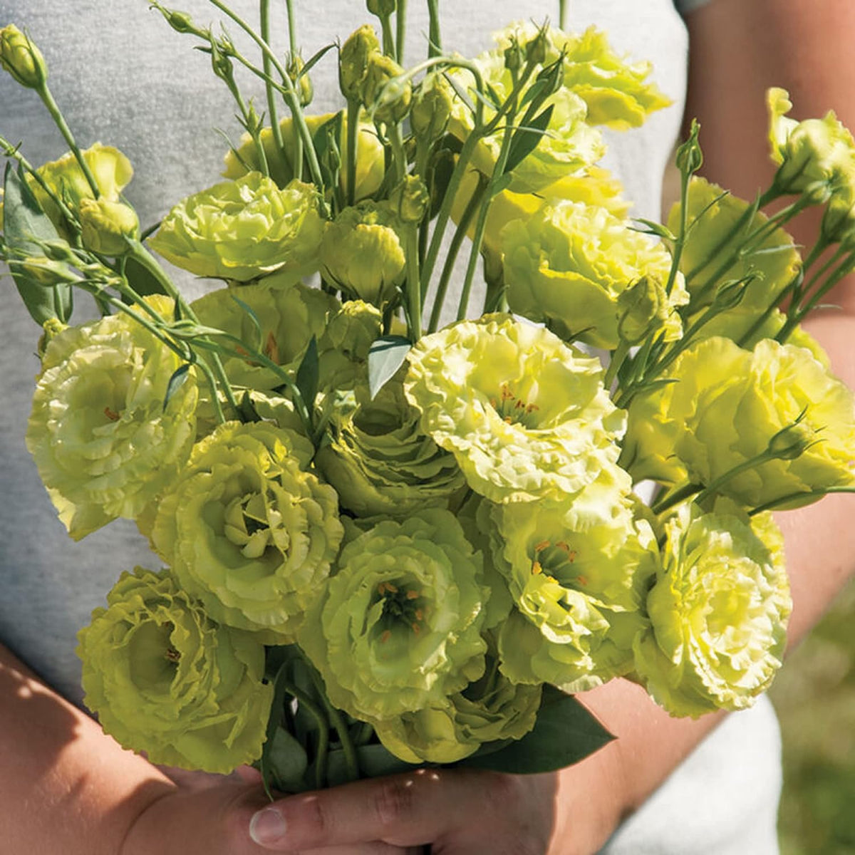 🌼Lisianthus Seeds – Perennial & Long-Flowering