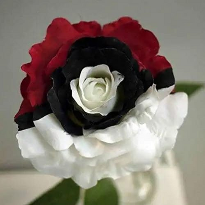Rare Black Rose Seeds for Planting, Heirloom, Non-GMO 200+ Beautiful Flower Seeds for Home Garden Bonsai