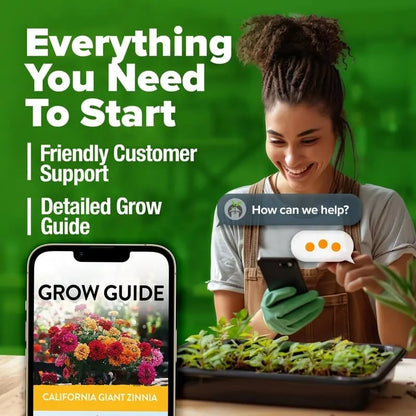 🔥Last Day 70% OFF🔥Zinnia Seeds – Pure, No Filler – Heirloom Flower Seeds