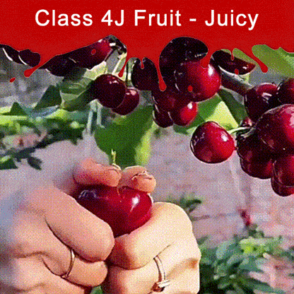 ✨Top Grade & Productive – Chilean Cherry Seeds Straight from Origin🌱