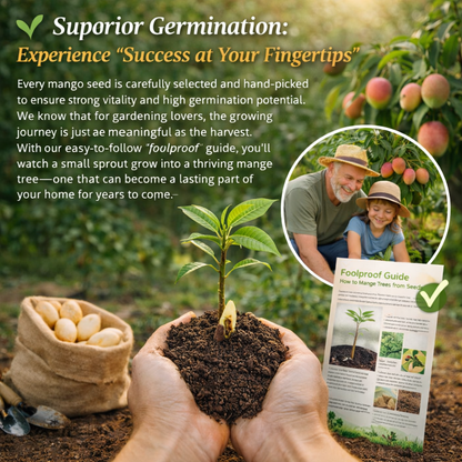 🔥 65K+ SOLD! 🥭 Sweet "Golden Honey" Dwarf Mango Tree Seeds (Home Growing)