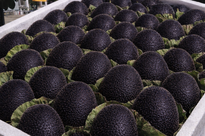 🥝Black Diamond Ruby Kiwi Seeds – Nutrient-Rich, Sweet & Easy to Grow at Home