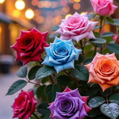 🔥Mixed Rose Seeds (200 seeds) – Rare Heirloom Varieties for Home Gardens, Non-GMO, Easy-to-Grow Beautiful Perennial Flowers